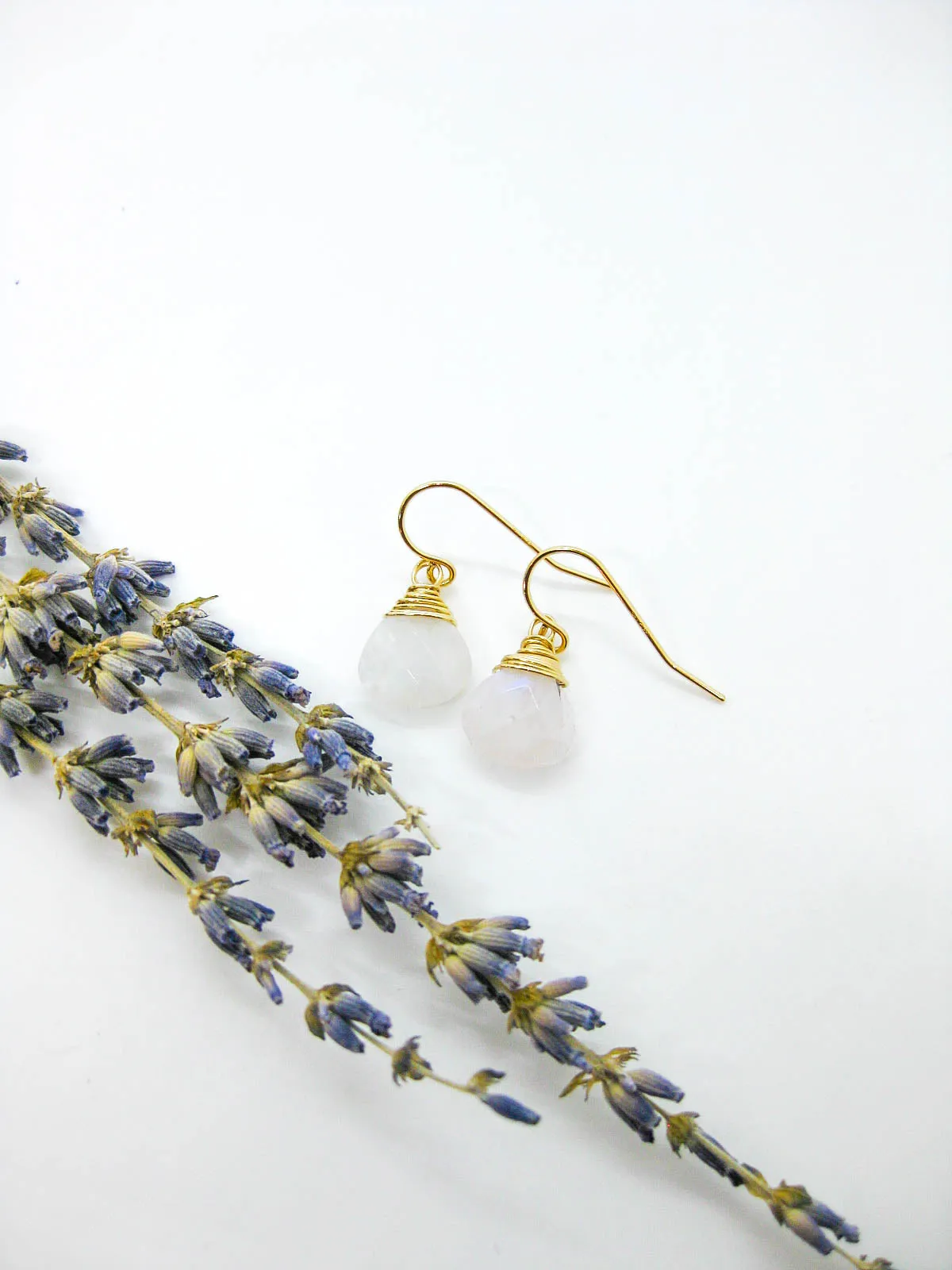 Chamomile: Moonstone Earrings - e674