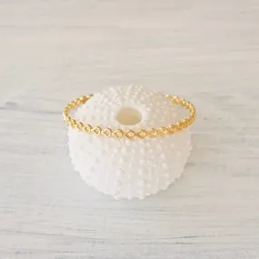 Salty Scales Bangle