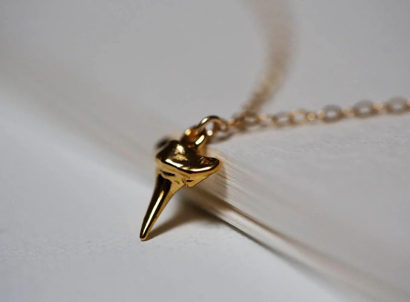 Shark Tooth Necklace