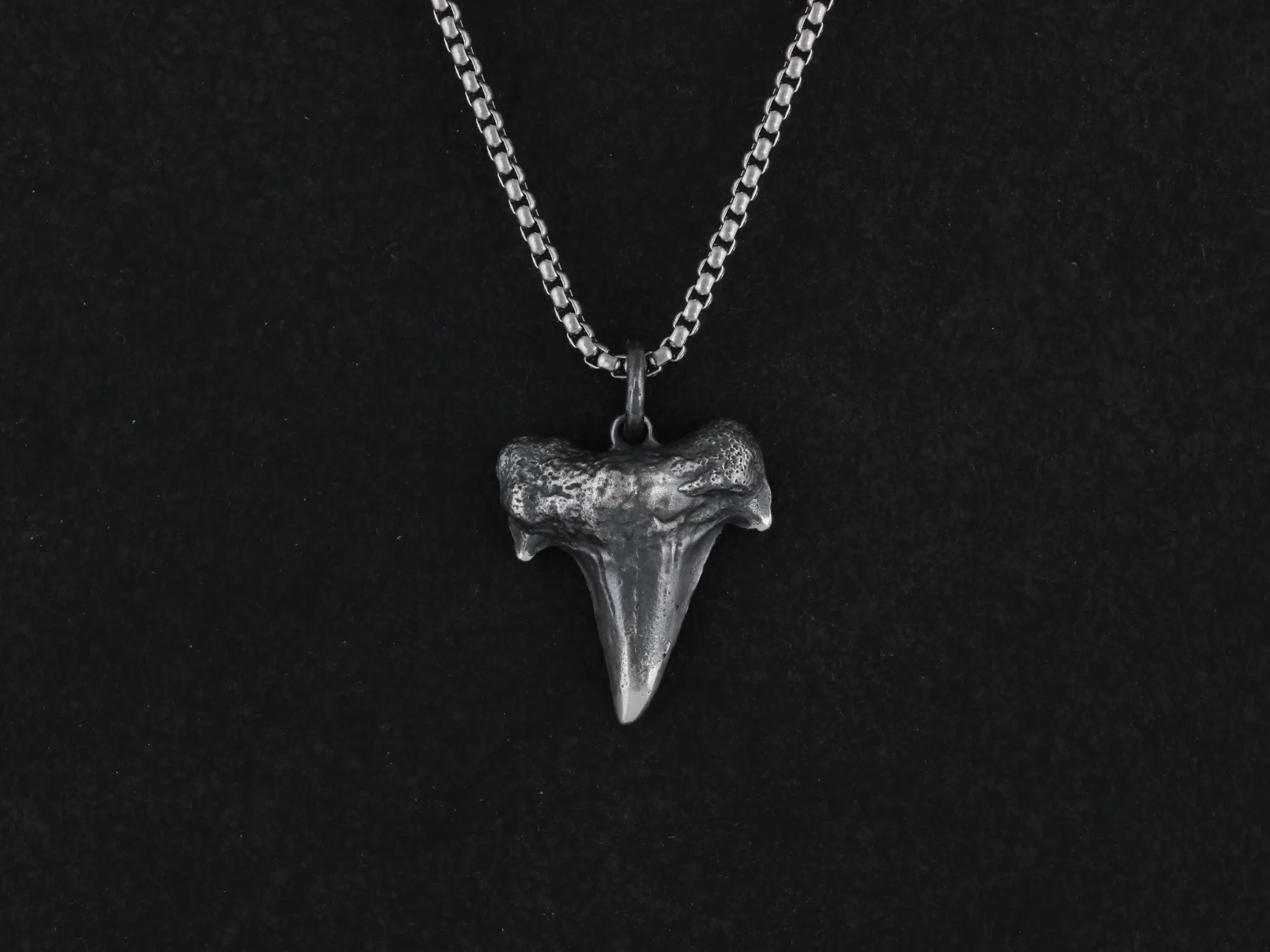 Sterling Silver Shark Tooth Necklace